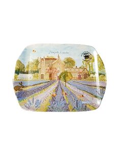 Small Tray
