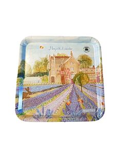 Square Tray