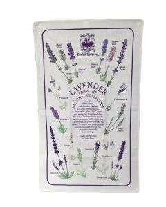Tea Towel National Collection of Lavender