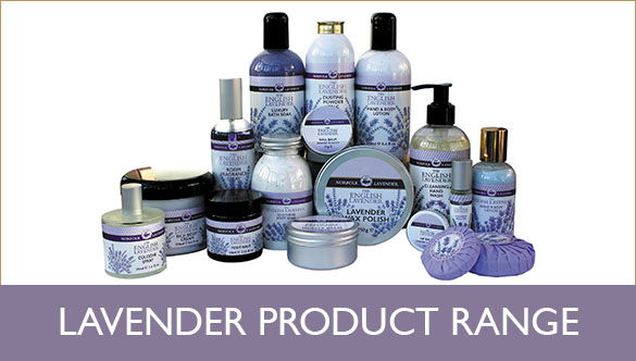 Product_Lavender-2