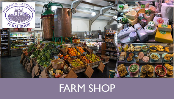 farm-shop_button-2