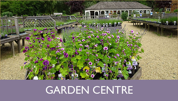 garden-centre_button-2