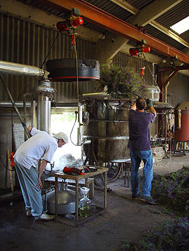 lavender_oil_distillery