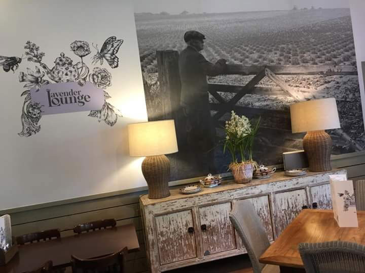 nl-lavender-lounge